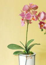 Load image into Gallery viewer, Artificial Phalaenopsis Orchid Leaves - 9&quot;

