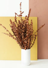 Load image into Gallery viewer, Earthy Terra Cotta Preserved Spiral Eucalyptus - 28-30&quot;
