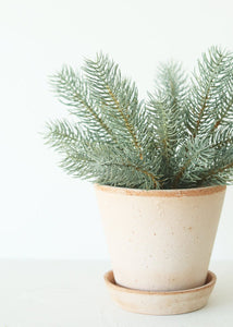 Fake Winter Evergreens Mini Frosted Pine Bush - 12"