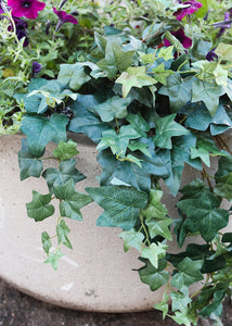 Artificial Plant Ivy Hanging Bush - 31" Long