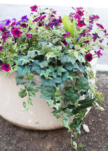Artificial Plant Ivy Hanging Bush - 31" Long