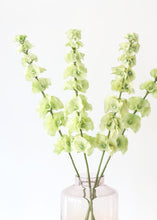 Load image into Gallery viewer, Bells of Ireland Silk Flowers in Light Green
