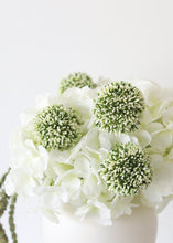 Load image into Gallery viewer, Fake Allium Flower in Cream Green - 17.5&quot;
