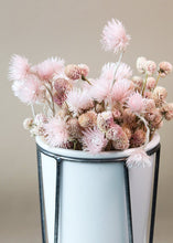 Load image into Gallery viewer, Dried Mini Silver Daisy in Pink
