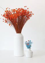 Load image into Gallery viewer, Orange Dried Star Flower
