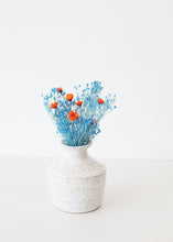 Load image into Gallery viewer, Preserved Gypsophila in Blue
