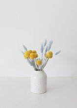 Load image into Gallery viewer, Light Blue Bunny Tail Dried Grass
