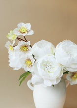 Load image into Gallery viewer, Silk Helleborus Flower Spray in Cream - 23"
