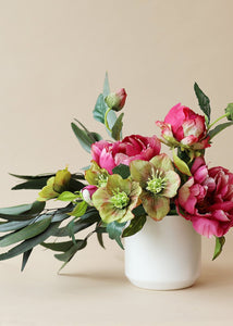 Helleborus Flower in Green Burgundy