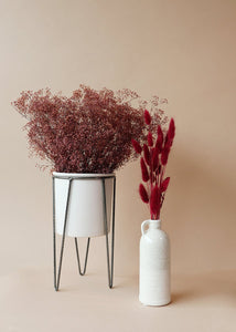 Burgundy Dried Bunny Tail