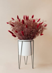 Ceramic White Cassa Plant Stand - 10.75" Tall