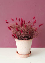 Load image into Gallery viewer, Handmade Terracotta Clay Pot and Saucer - 6.5&quot; Tall x 6.5&quot; Wide with Drainage
