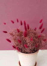 Load image into Gallery viewer, Burgundy Dried Bunny Tail
