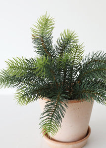 Artificial Mini Winter Evergreen Pine Bush - 12"
