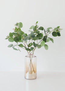 Fake Seeded Eucalyptus Leaf Branch - 36"