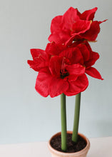 Load image into Gallery viewer, Red Fake Amaryllis Holiday Flowers
