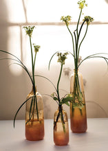 Load image into Gallery viewer, Lola Glass Floral Bud Vase in Ombre Coral - 8" Tall
