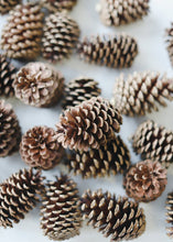 Load image into Gallery viewer, Box of 100 Natural Medium Pine Cones - 3-5&quot; Long
