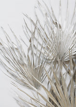 Load image into Gallery viewer, Pack of 5 - Dried Palms in Metallic Silver
