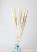 Load image into Gallery viewer, Pack of 6 - Smooth Natural Tan Pampas Grass - 25-29.5"
