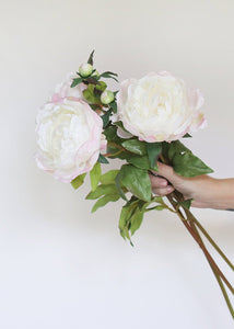Faux Peony Flower in Cream Blush