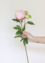 Load image into Gallery viewer, Artificial Real Touch Closed Peony in Pink
