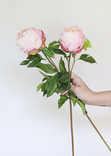 Load image into Gallery viewer, Artificial Real Touch Closed Peony in Pink
