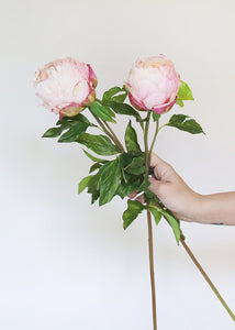 Artificial Real Touch Closed Peony in Pink