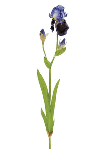 Blue Silk Bearded Iris Flower - 39"