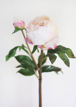 Load image into Gallery viewer, Cream Fuchsia Faux Closed Peony with Bud
