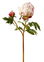 Load image into Gallery viewer, Cream Fuchsia Faux Closed Peony with Bud
