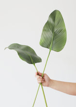 Load image into Gallery viewer, Artificial Calla Leaf - 33&quot;
