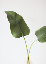 Load image into Gallery viewer, Artificial Calla Leaf - 33&quot;
