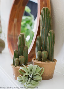 Fake Potted Plants Column Cactus in Pot - 15.5" Tall