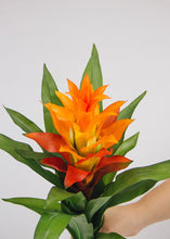 Load image into Gallery viewer, Artificial Indoor/Outdoor Bromeliad Plant in Orange Flame - 21&quot;

