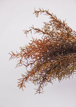 Load image into Gallery viewer, Brown Plastic Sprengeri Grass Outdoor Plant - 19&quot;
