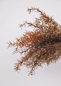 Brown Plastic Sprengeri Grass Outdoor Plant - 19"