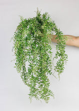 Load image into Gallery viewer, Plastic Outdoor Hanging Fern Plant - 36"

