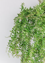 Load image into Gallery viewer, Plastic Outdoor Hanging Fern Plant - 36"
