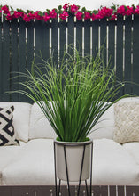 Load image into Gallery viewer, Plastic Herb Grass Plant - 18" Tall
