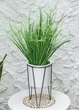 Load image into Gallery viewer, Plastic Herb Grass Plant - 18" Tall
