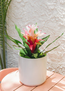 Artificial Indoor/Outdoor Bromeliad Plant in Pink - 21"