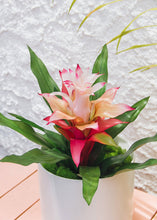 Load image into Gallery viewer, Artificial Indoor/Outdoor Bromeliad Plant in Pink - 21&quot;
