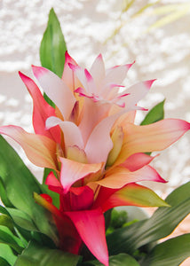Artificial Indoor/Outdoor Bromeliad Plant in Pink - 21"
