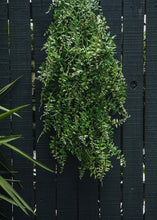 Load image into Gallery viewer, Plastic Outdoor Hanging Fern Plant - 36"
