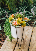 Load image into Gallery viewer, Artificial Echeveria Succulent Pick in Yellow &amp; Green - 2.5&quot; Wide
