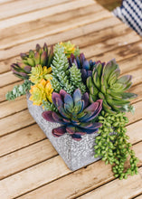 Load image into Gallery viewer, Fake Succulent Pick in Lavender Green - 4.5&quot; Wide
