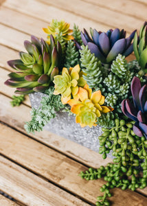 Artificial Echeveria Succulent Pick in Yellow & Green - 2.5" Wide