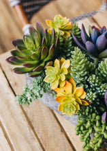 Load image into Gallery viewer, Latex Sedum Pick in Dusty Green - 5" Tall

