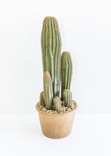 Load image into Gallery viewer, Fake Potted Plants Column Cactus in Pot - 15.5&quot; Tall
